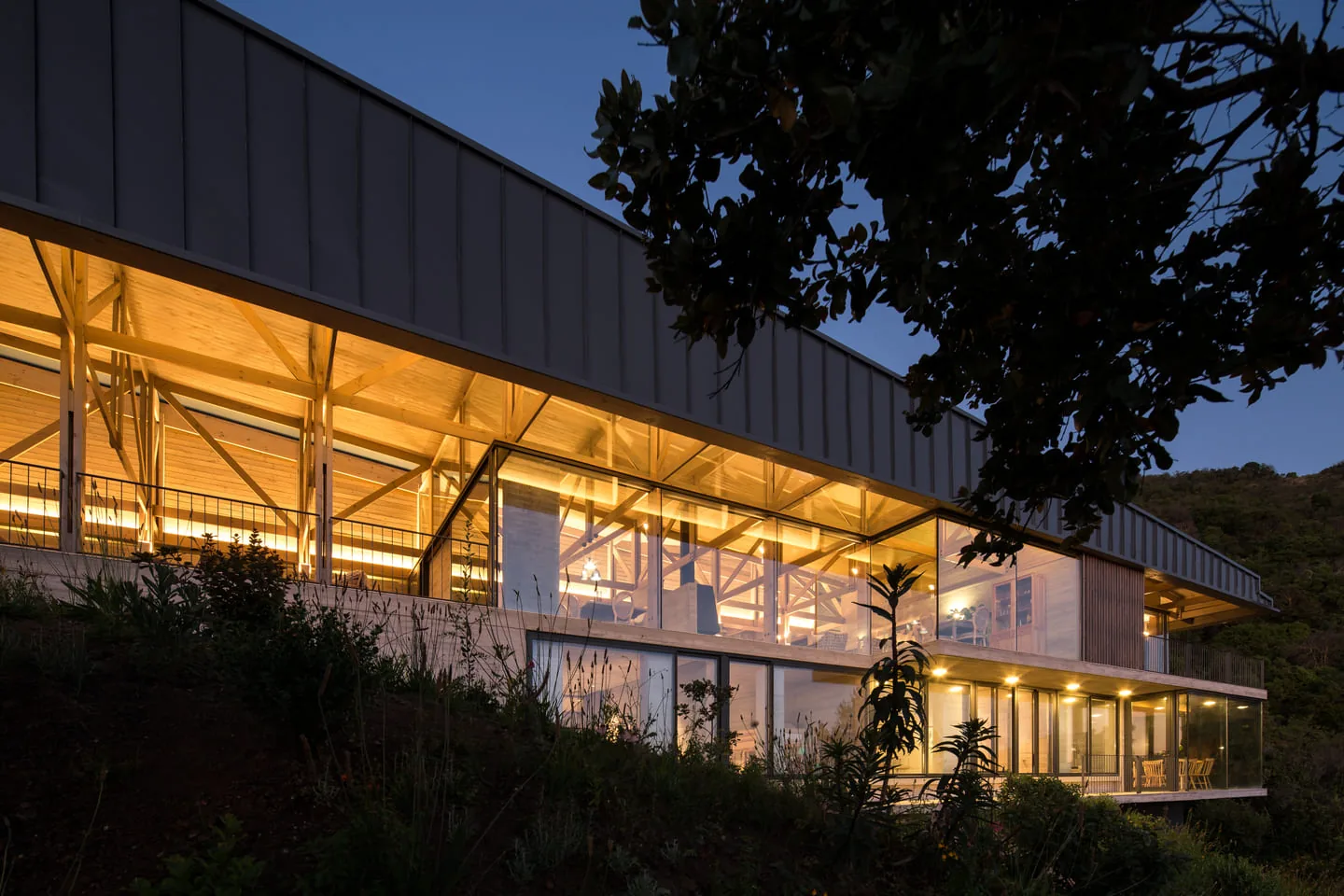 Casa 59, Cerro El Boldo, Zapallar — fachada nocturna, madera y vidrio