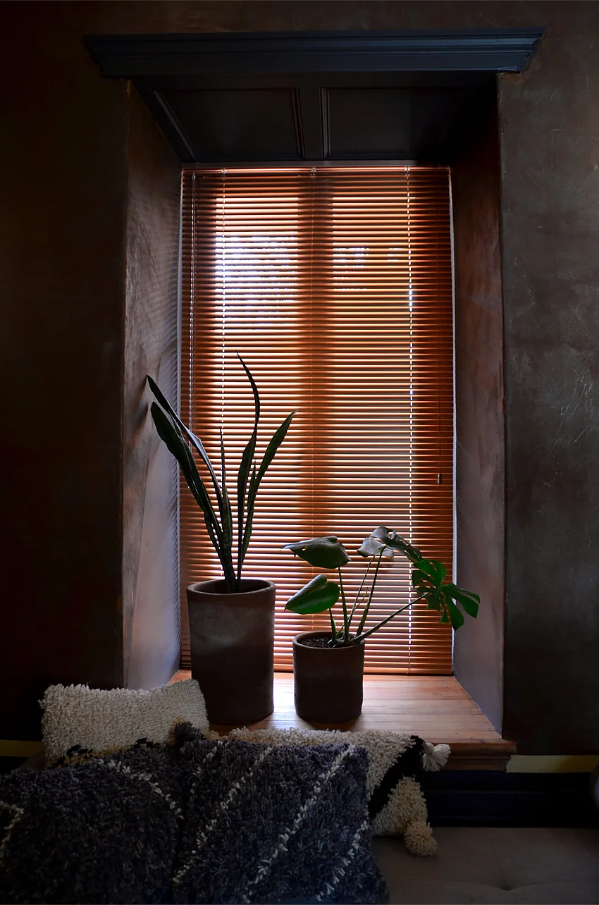 Sala Pausa — detalle de ventana, plantas y persianas