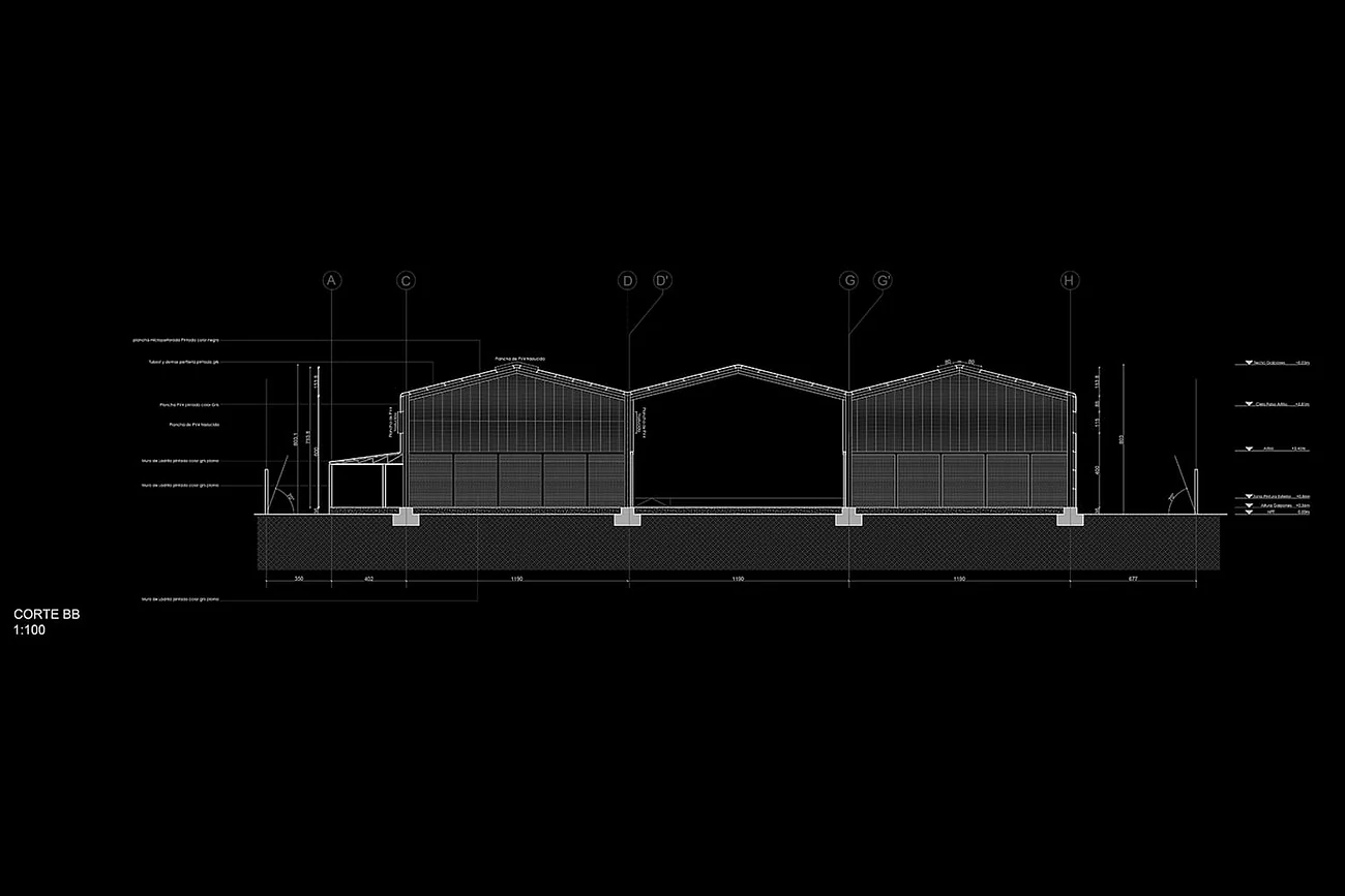 Remaval — corte transversal del galpón